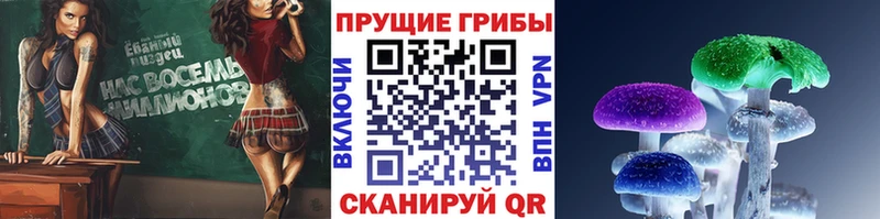 Галлюциногенные грибы MAGIC MUSHROOMS  Сибай 